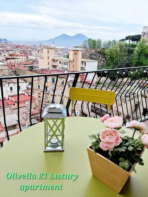 Olivella21 Vesuvio Appartement Napels